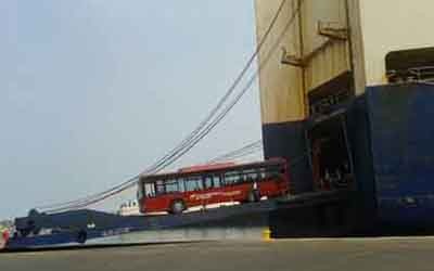 1191 7B Buses copy